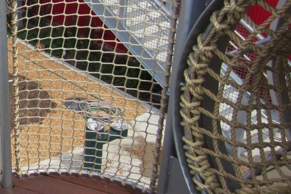 Fencing-1250